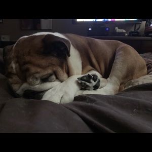 Meet your Posher, Angela